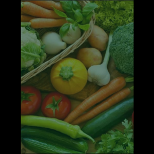 vegetable_original_copy_1_copy_1