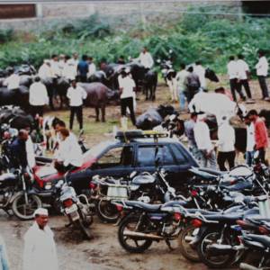 janavare_bajara_sevagava_original