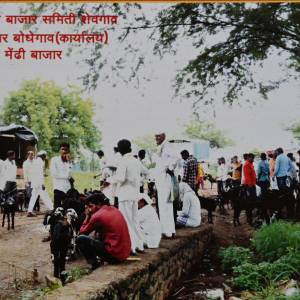 seli_mendhi_bajara_-upabajara_bodhegava_original